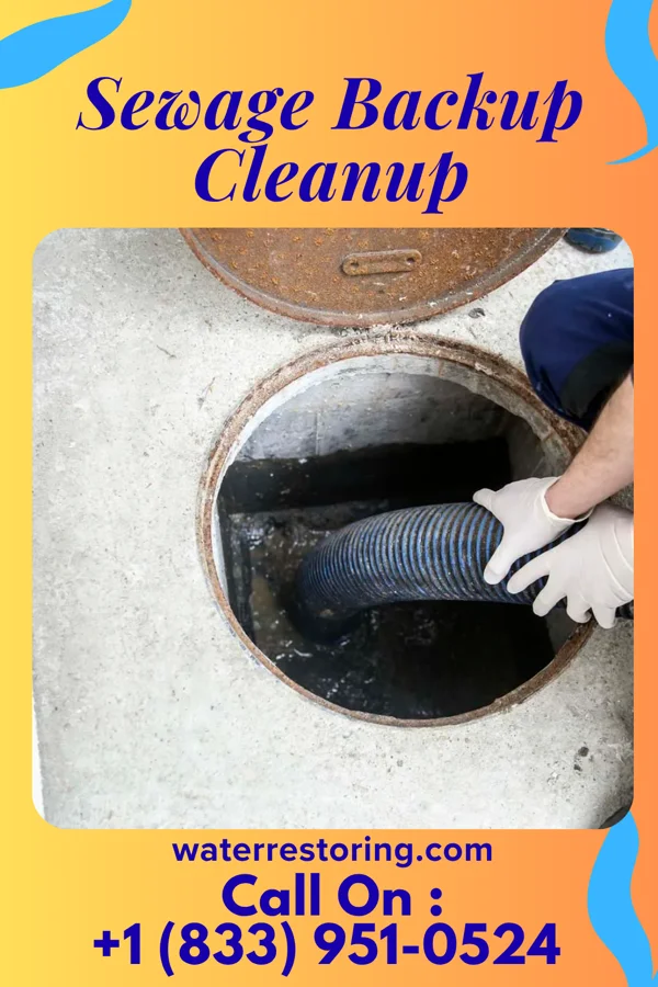 Sewage Backup Cleanup in Souris, ND