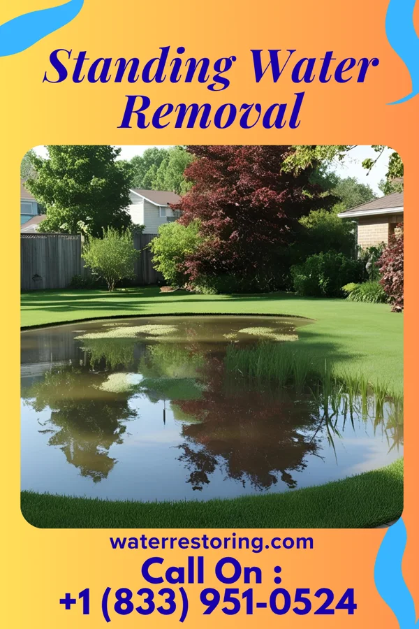 Standing Water Removal in Souris, ND